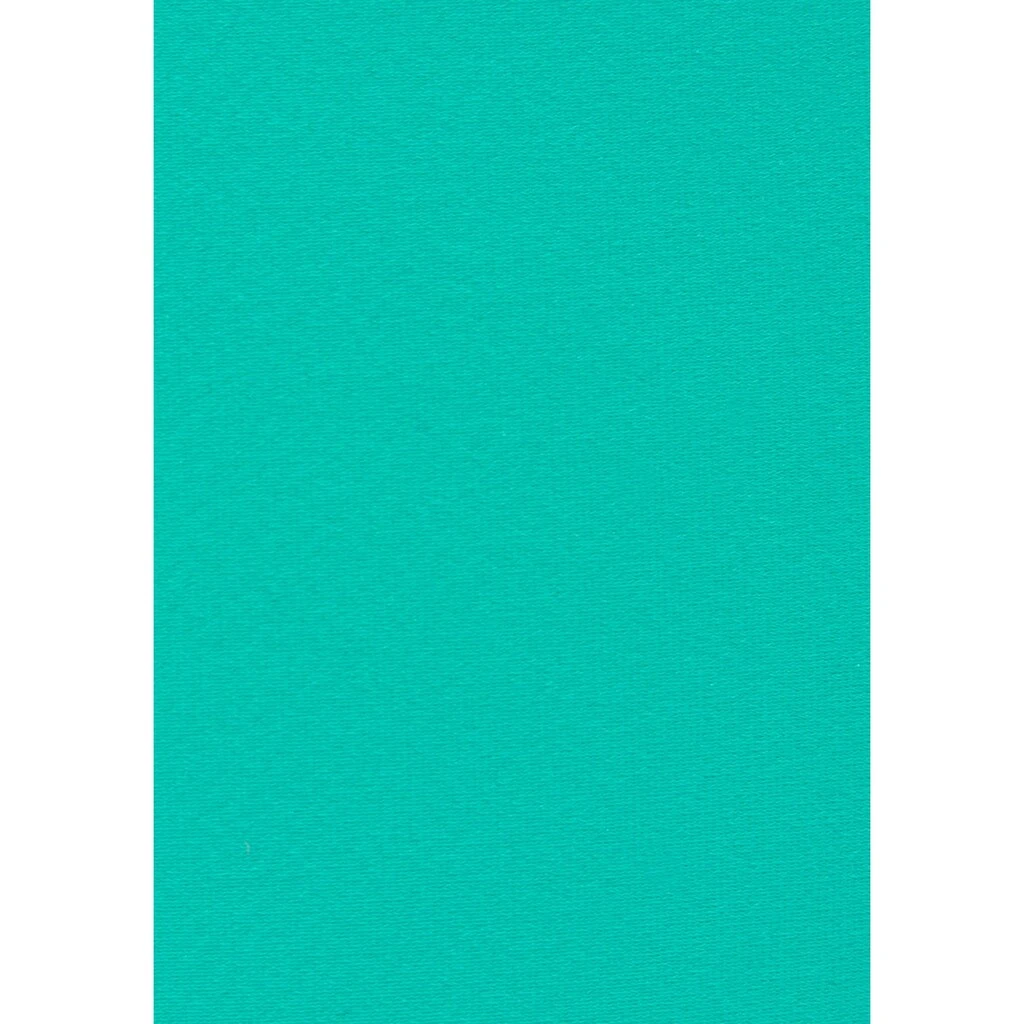 Venice Beach Bikini-Hose »L.A.«, In Knapper Brasilien-Form Und Kontrastpiping 5 Venice Beach Bikini-Hose »L.A.«, In Knapper Brasilien-Form Und Kontrastpiping – Bild 5